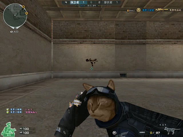 在 CS2 的5月17日投注什么？只有专业人士才知道的前5个最佳投注